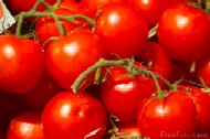 Juicy ripe Tomatoes
