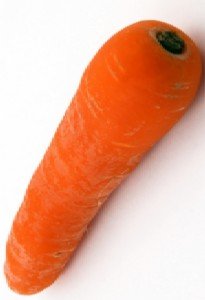 Growing Carrots - A Single mature carrot