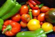 A colourful mix of ripe vegetables A colourful mix of ripe vegetables